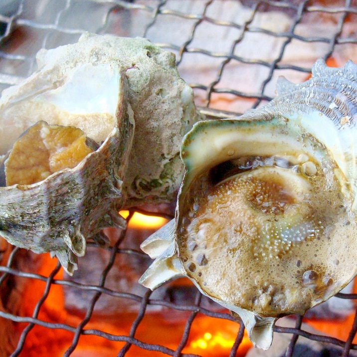 サザエのつぼ焼き よか魚ドットコム レシピ 作り方 By 楽天出店店舗 よか魚ドットコム 楽天レシピ サザエのつぼ焼き よか魚ドットコム レシピ 作り方 By 楽天出店店舗 よか魚ドットコム 楽天レシピ
